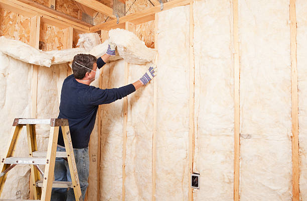 Best Blown-In Insulation  in Brocton, NY