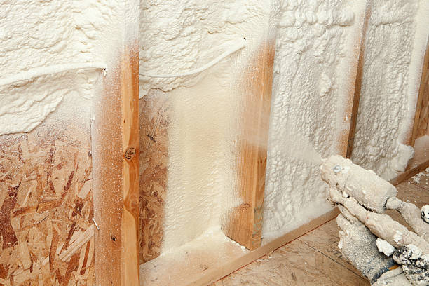 Best Spray Foam Insulation  in Brocton, NY